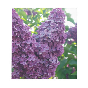 Purple Lilacs Notepad