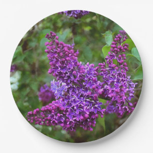 Purple Lilacs on a Spring Day Paper Plate