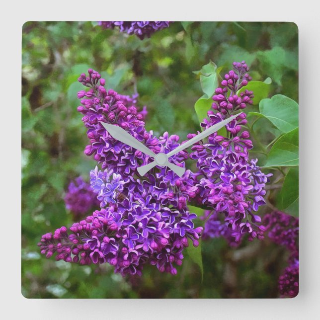 Purple Lilacs on a Spring Day Square Wall Clock (Front)