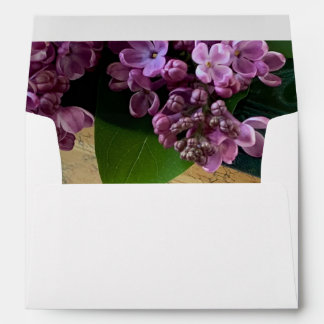 Purple lilacs on old books envelope