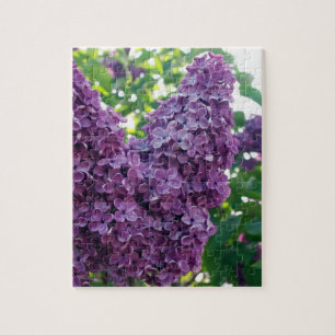 Purple Lilacs Puzzle