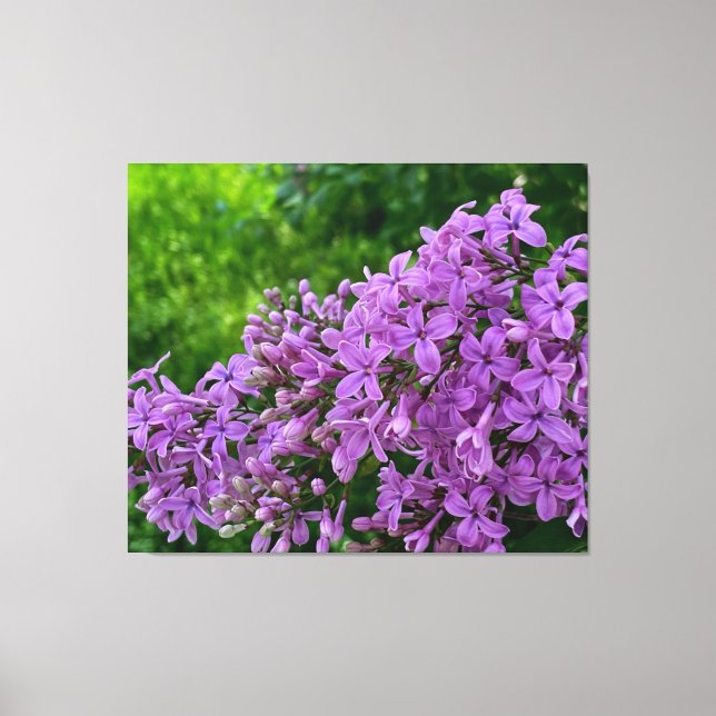 Purple lilacs romantic elegant purple floral photo canvas print (Front)