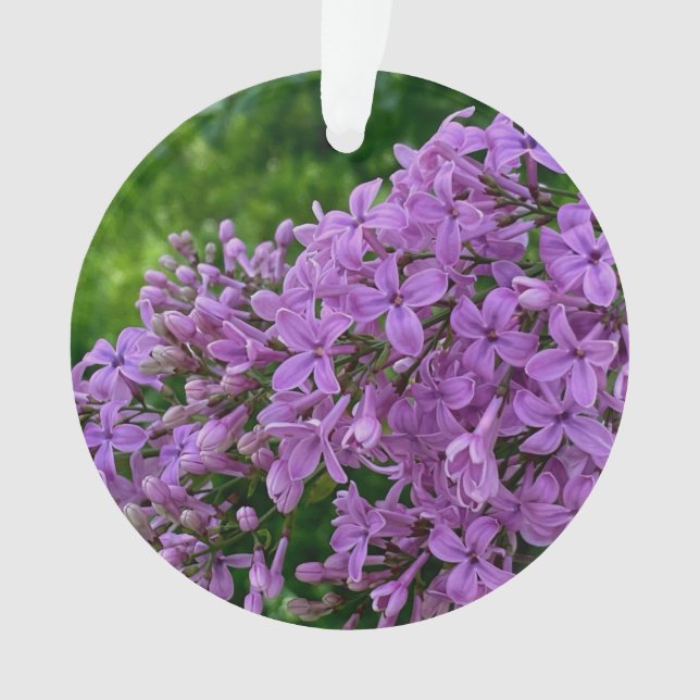 Purple lilacs romantic elegant purple floral photo ornament (Front)