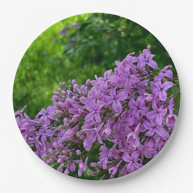 Purple lilacs romantic elegant purple floral photo paper plate (Front)