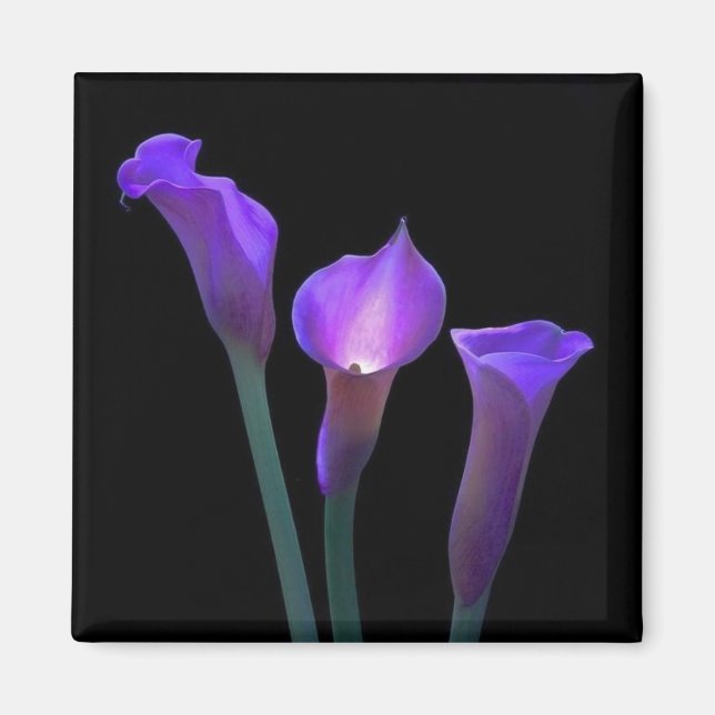 Purple Lilies Magnet (Front)