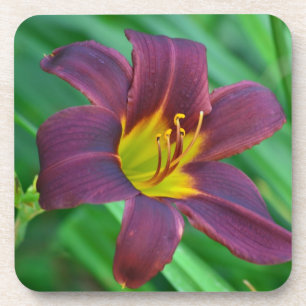 Purple Lily Coasters