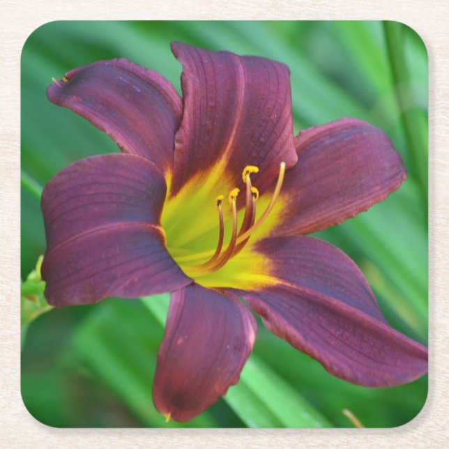 Purple Lily Party Coaster (Front)