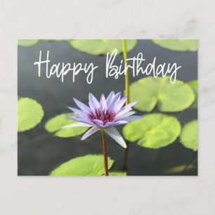 Purple  Lotus in the pond Happy Birthday    Postcard