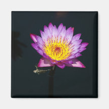 Purple Lotus Waterlily Dragonfly Nymph magnet