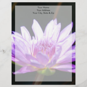 Purple Lotus Waterlily Flower Letterhead Design