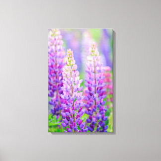 Purple Lupin Wrapped Canvas