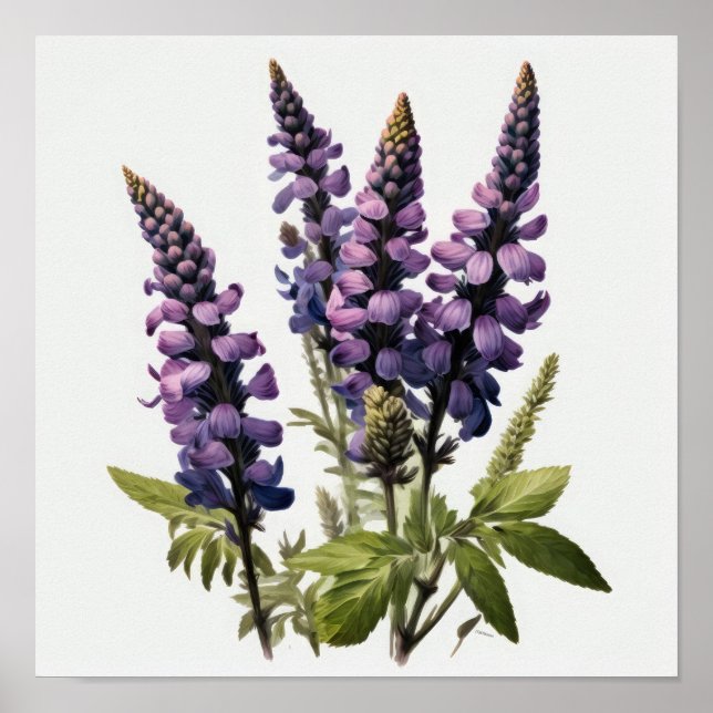 Purple Lupine Flower Art Print Poster (Front)