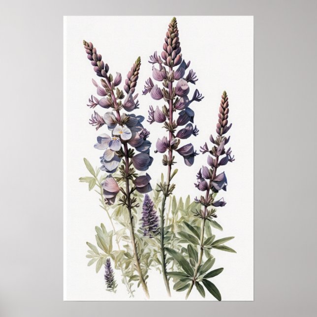 Purple Lupine Flower Art Print Poster (Front)