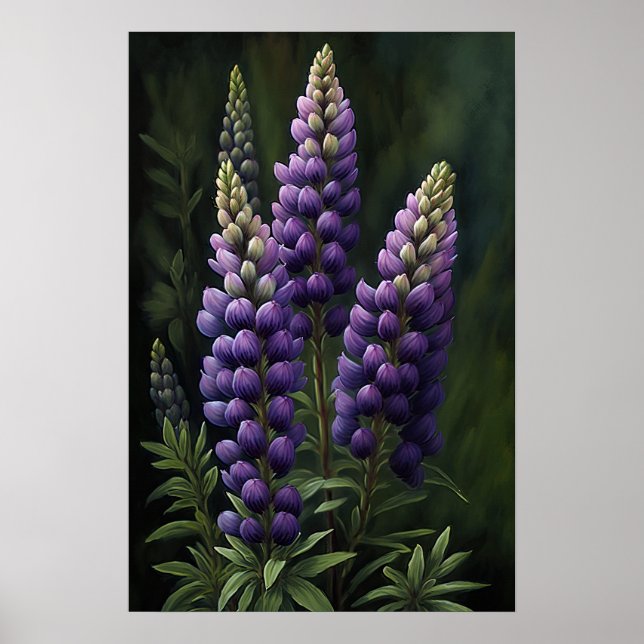 Purple Lupine Flower Art Print Poster (Front)