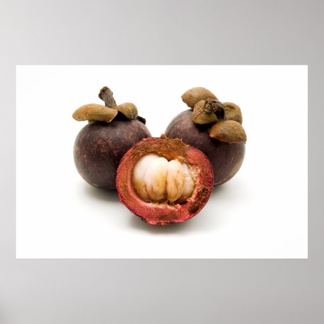 Purple Mangosteen Poster (Front)
