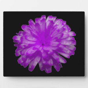 Purple Marigold Plaque