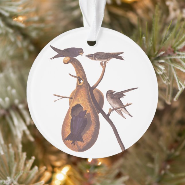 Purple Martin Audubon Bird Family and Gourd Home Ornament (Tree)