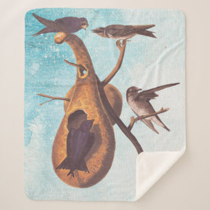 Purple Martin Audubon Bird Family and Gourd Home Sherpa Blanket