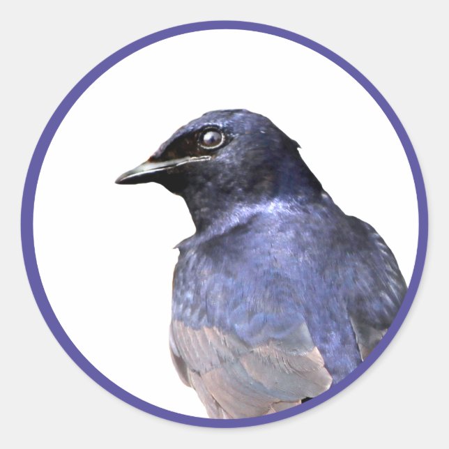 Purple Martin Classic Round Sticker (Front)