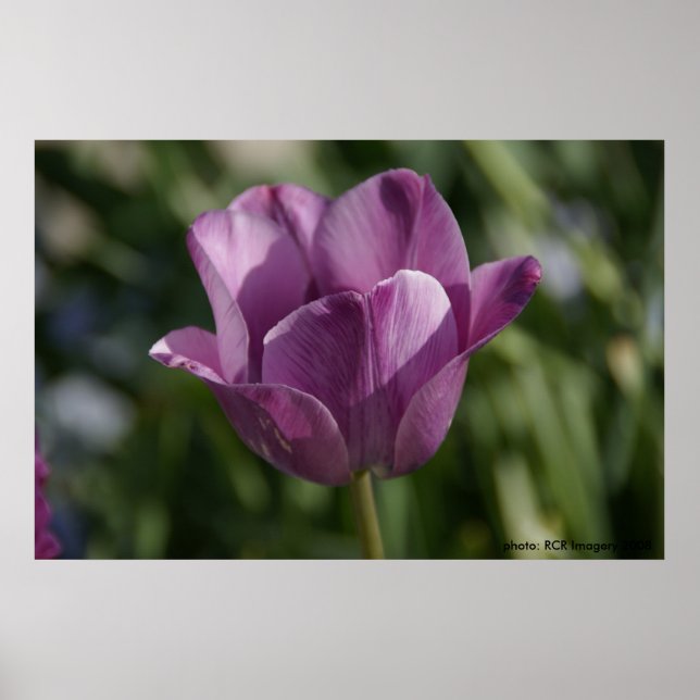 Purple moment poster (Front)