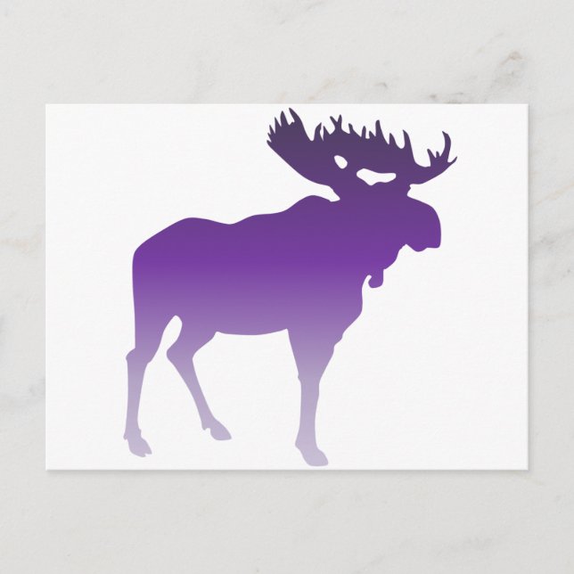 Purple Moose Postcard (Front)