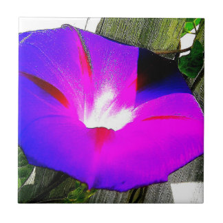 Purple Morning Glory Flower Decorative Tile
