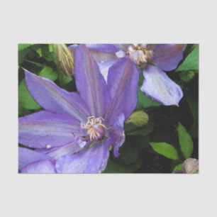 Purple Morning Glory Flower Decoupage Tissue Paper