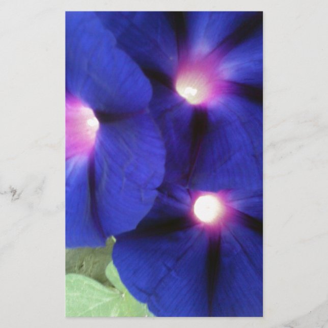 Purple Morning Glory Flower Stationery (Front)