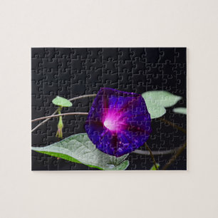 Purple morning glory Puzzle