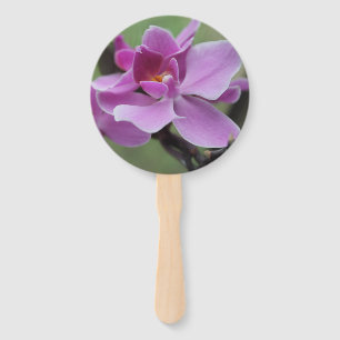 Purple moth orchids on a hand held fan