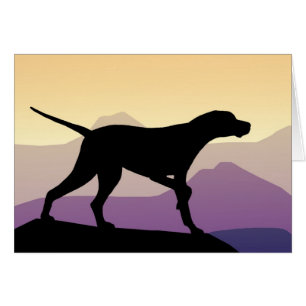 Purple Mountains Pointer