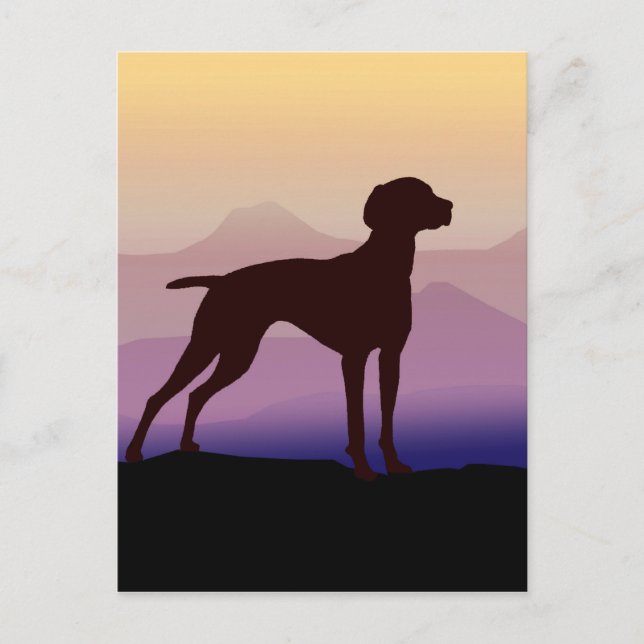 Purple Mountains Vizsla Postcard (Front)