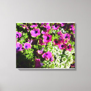 Purple Mum and White Flower Canvas Print