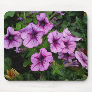 Purple Mum Flower Mouse Pad