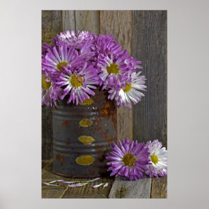 purple mum flowers in rusty tin can poster