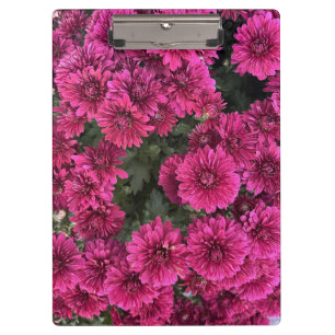Purple Mums Clipboard