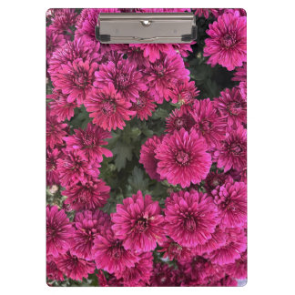 Purple Mums Clipboard