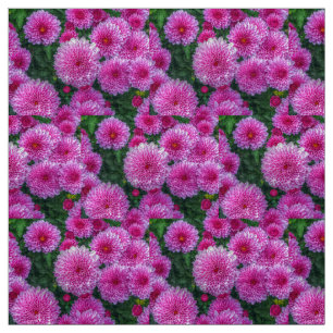 Purple Mums Fabric