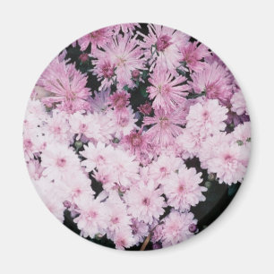 purple mums magnet