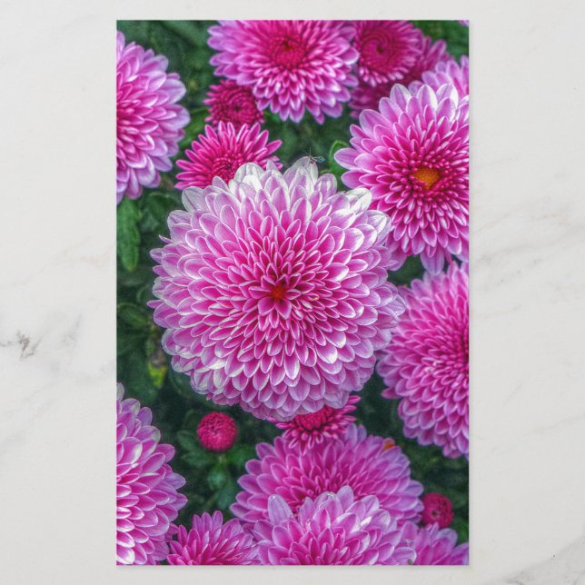 Purple Mums Stationery (Front)