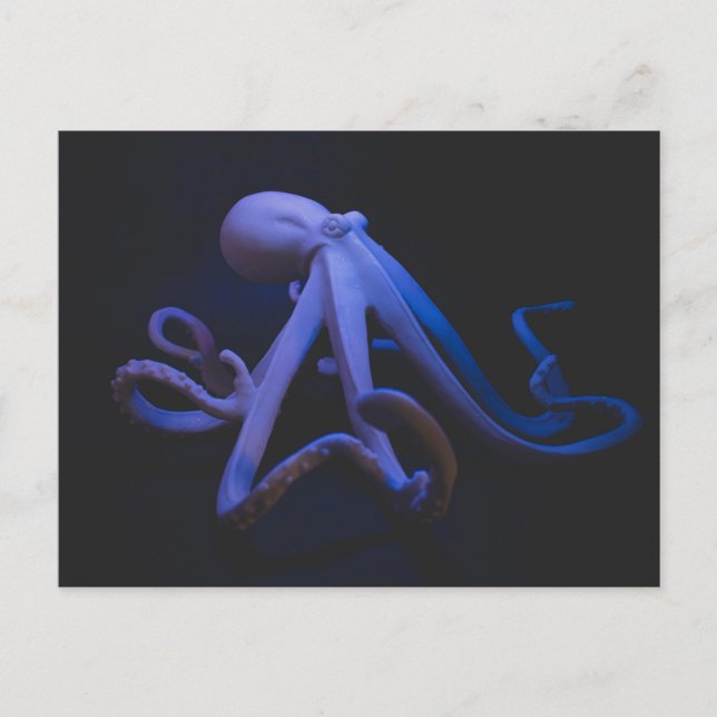 Purple Octopus Postcard (Front)