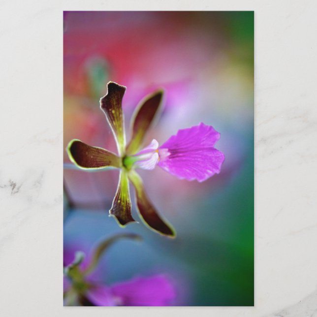 Purple Orchid (Front)