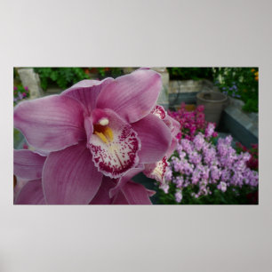 Purple Orchid and Garden Colourful Botanical Poster