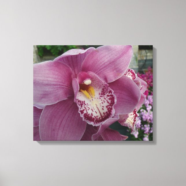 Purple Orchid and Garden Colourful Floral Canvas Print (Front)