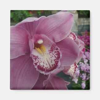 Purple Orchid and Garden Colourful Floral Magnet