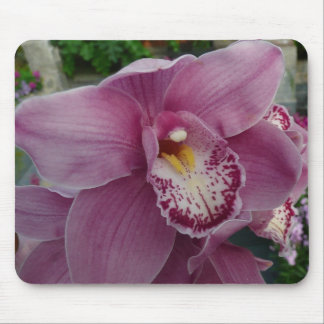 Purple Orchid and Garden Colourful Floral Mouse Pad