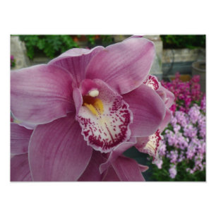 Purple Orchid and Garden Colourful Floral Photo Print