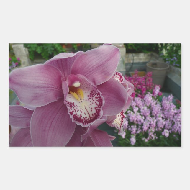 Purple Orchid and Garden Colourful Floral Rectangular Sticker (Front)