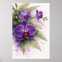 Purple Orchid Botanical 