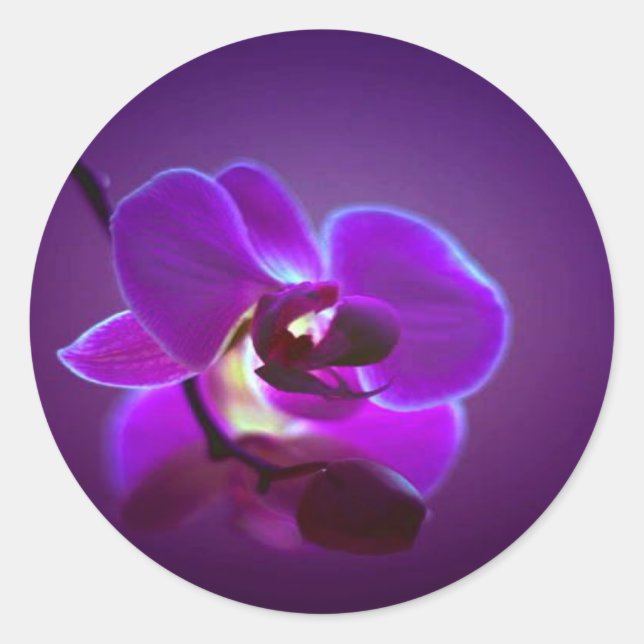 Purple Orchid Classic Round Sticker (Front)